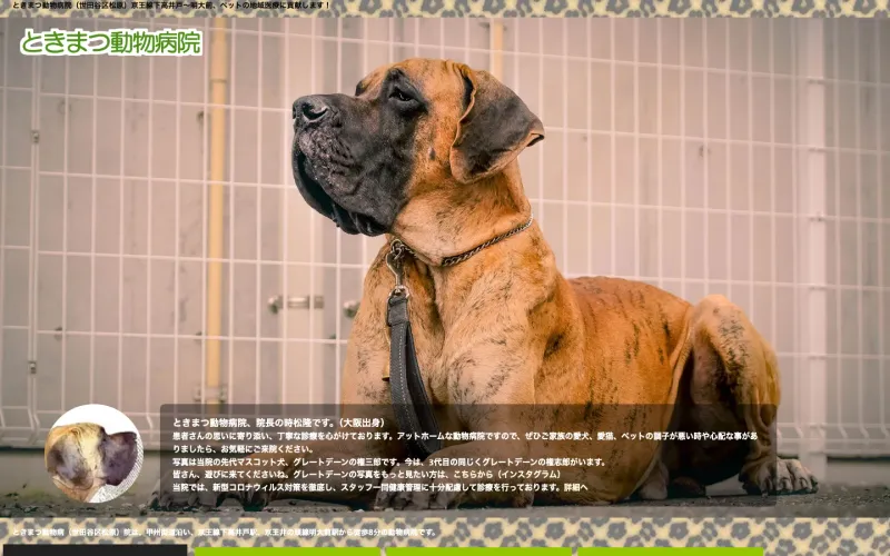 ときまつ動物病院 PCのトップページ