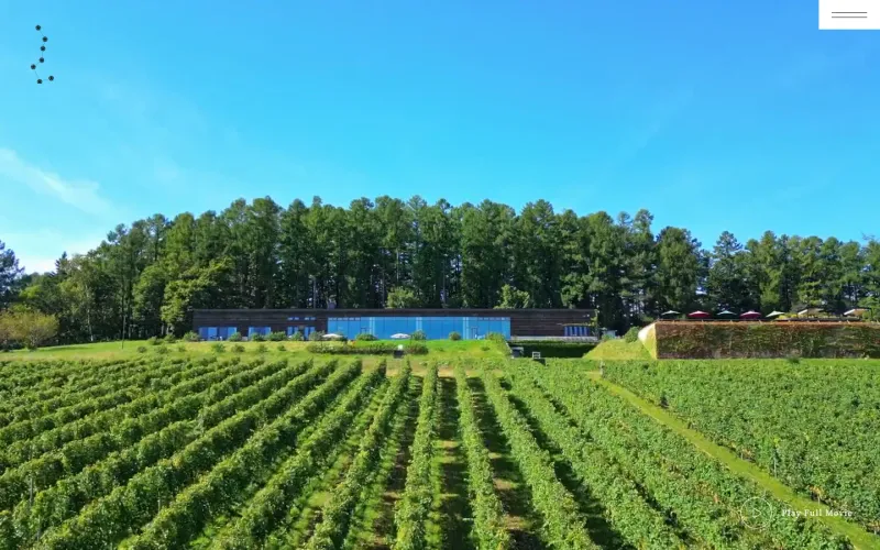NIKI Hills Winery｜㈱NIKI Hillsヴィレッジ PCのトップページ